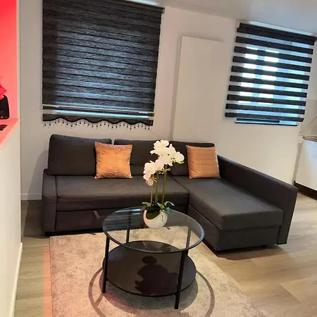 Chic Design And Modern Comfort - 1br With Sofa Bed Apartament *